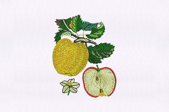 Apple and Half Apple