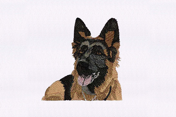 German Shepherd